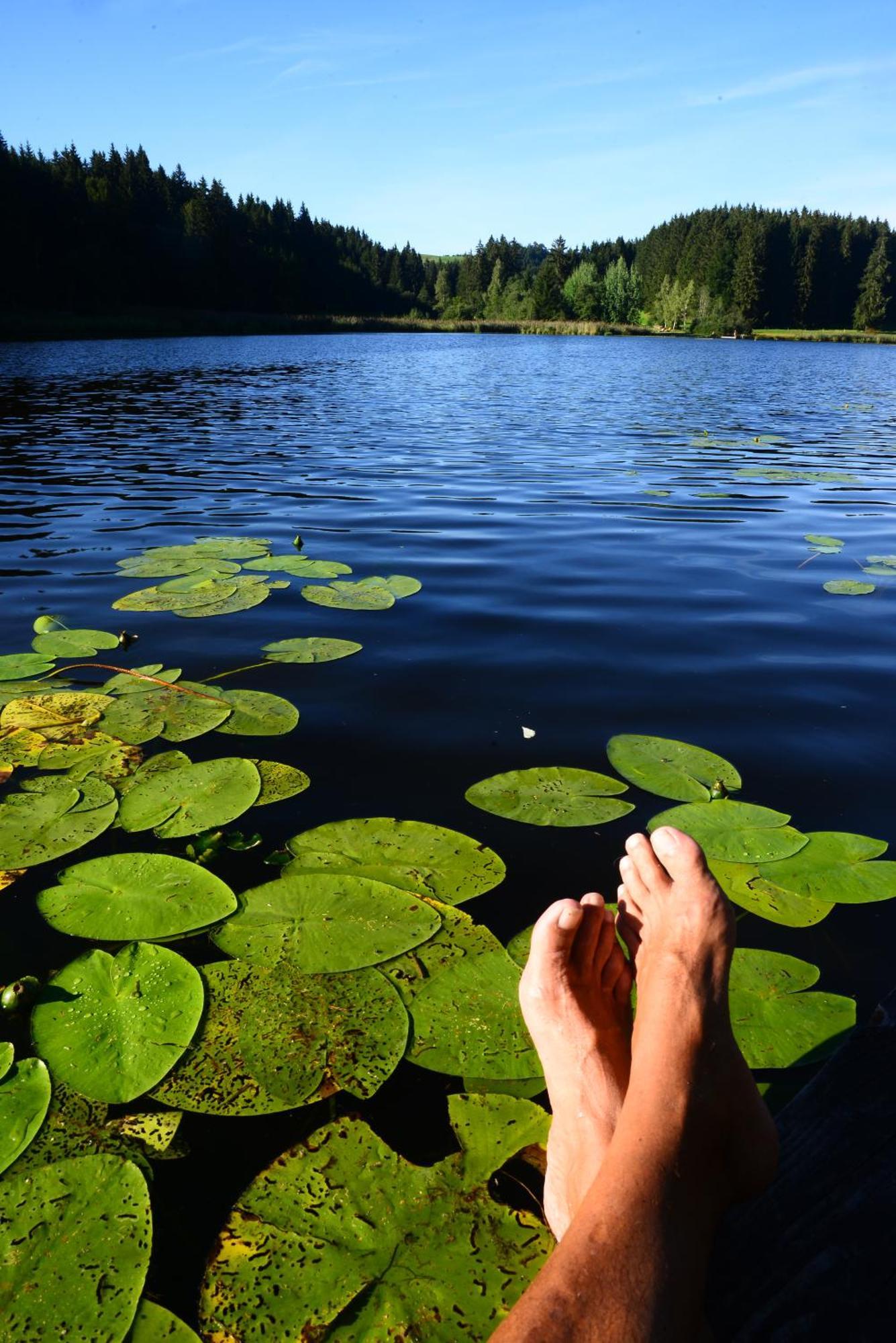 Hintere Schoene Rieden Bagian luar foto