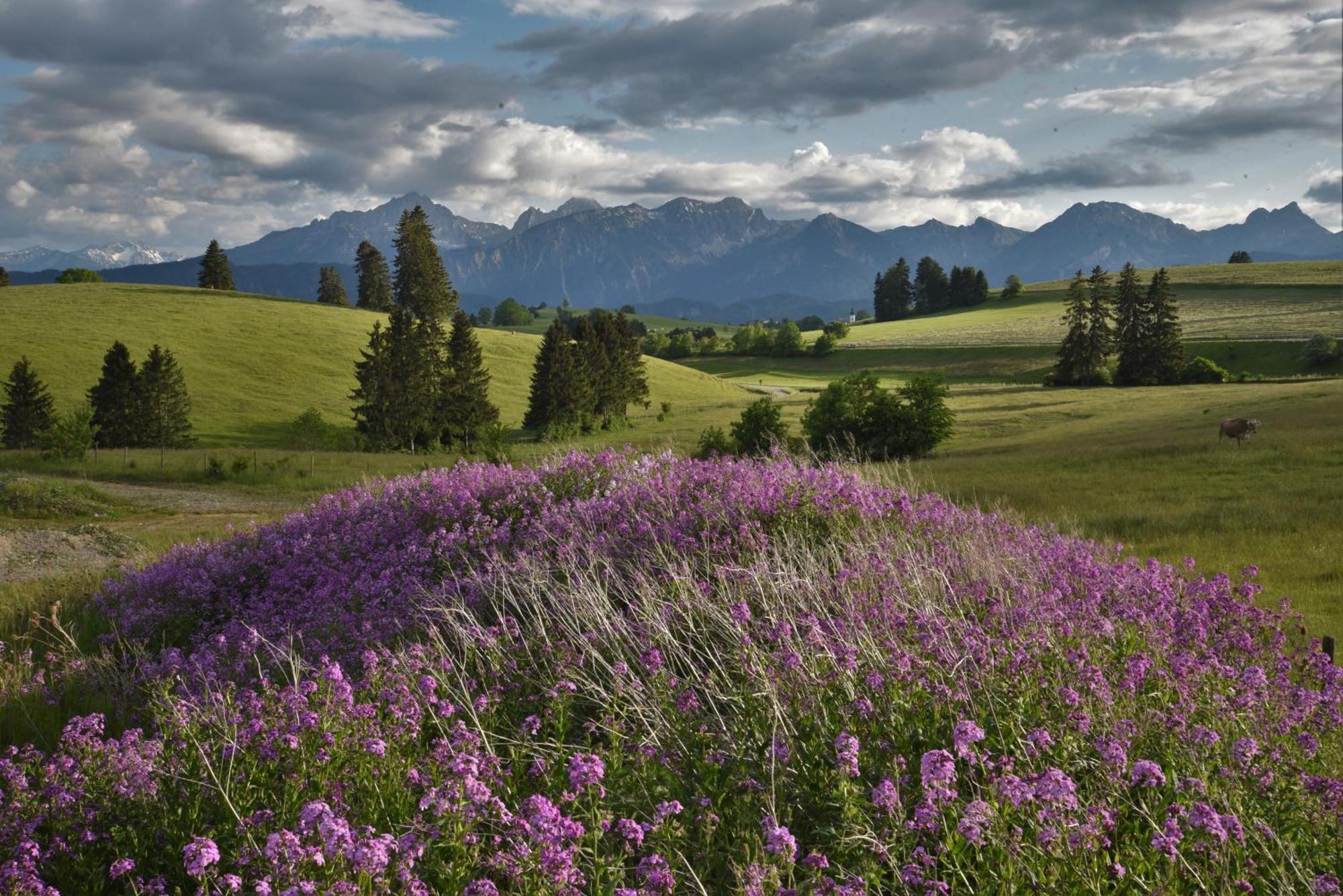 Hintere Schoene Rieden Bagian luar foto